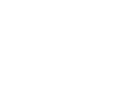Weisiger Group logo