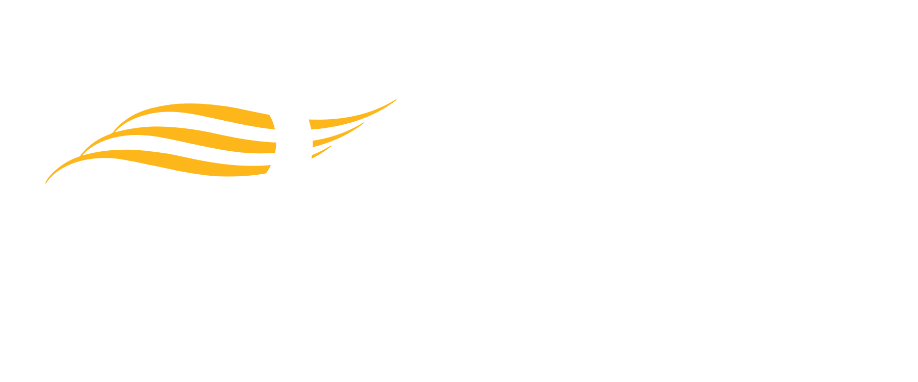 Inari logo